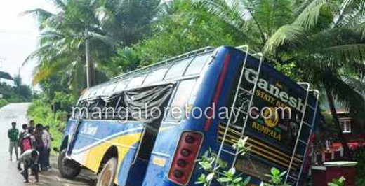 Bus falls into gorge, three injured 